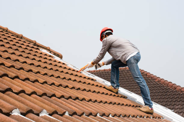Best Roof Waterproofing  in Newport, VT